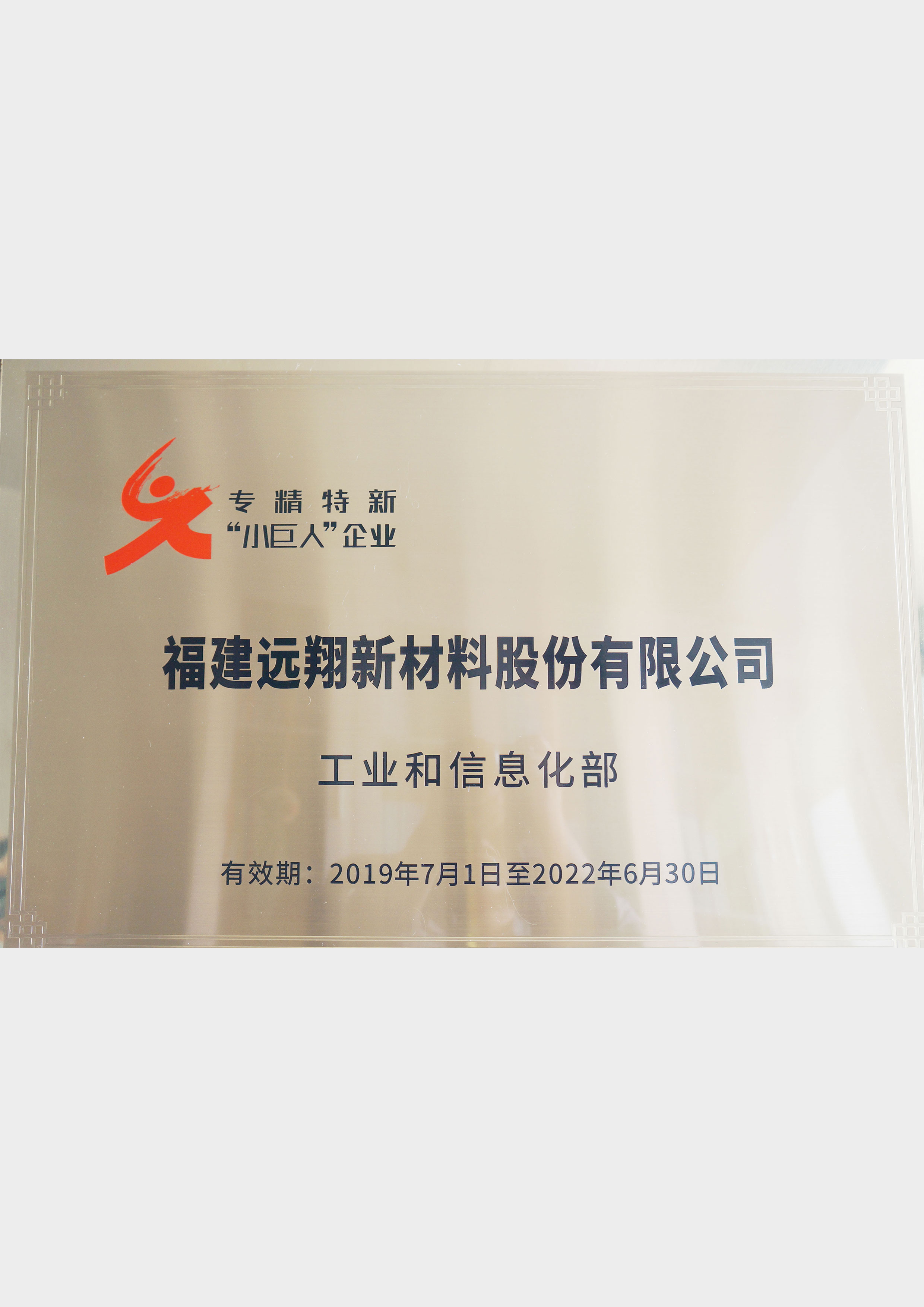 福建ylzzcom永利总站新材料股份有限公司